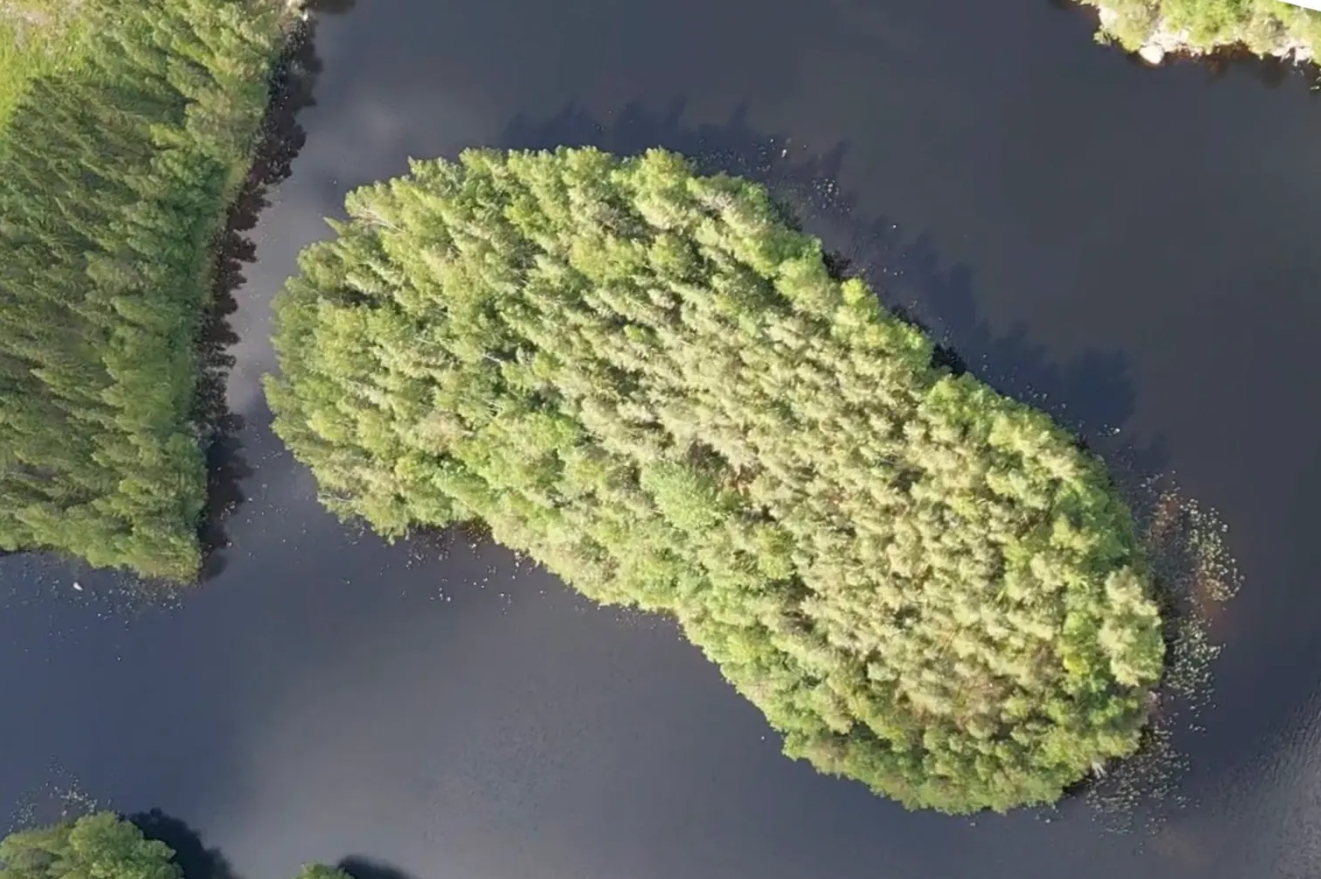 Студент купил целый остров по цене однокомнатной квартиры: вот, для чего он ему был нужен